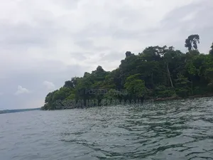 Island for Sale in Kalangala, Kyamuswa