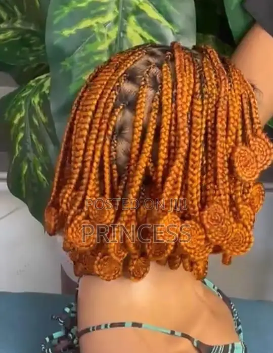 Beautiful Women's Braided Wigs & Styles - 1