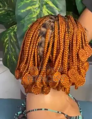 Beautiful Women's Braided Wigs & Styles