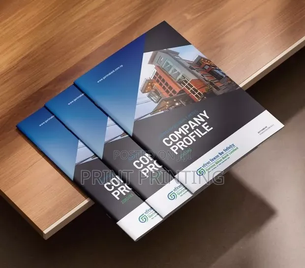 Company Profile Design and Printing - 1