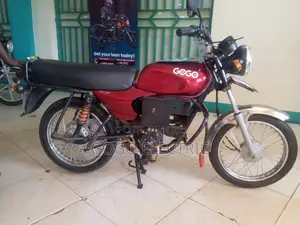 GOGO EV Motorcycle - 2024 Red