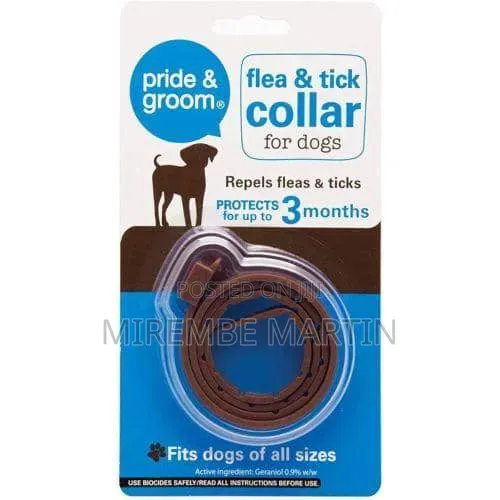 Flea and Tick Protection for Dogs (3-Month) - 1