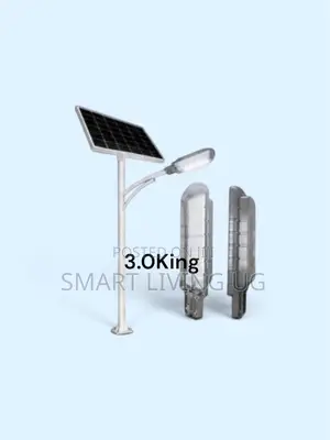 3.0m King Light Solar Street Light - Blue Carbon