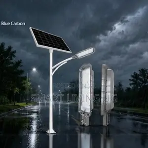 Blue Carbon King 3.0 Solar Street Light (800W LED)