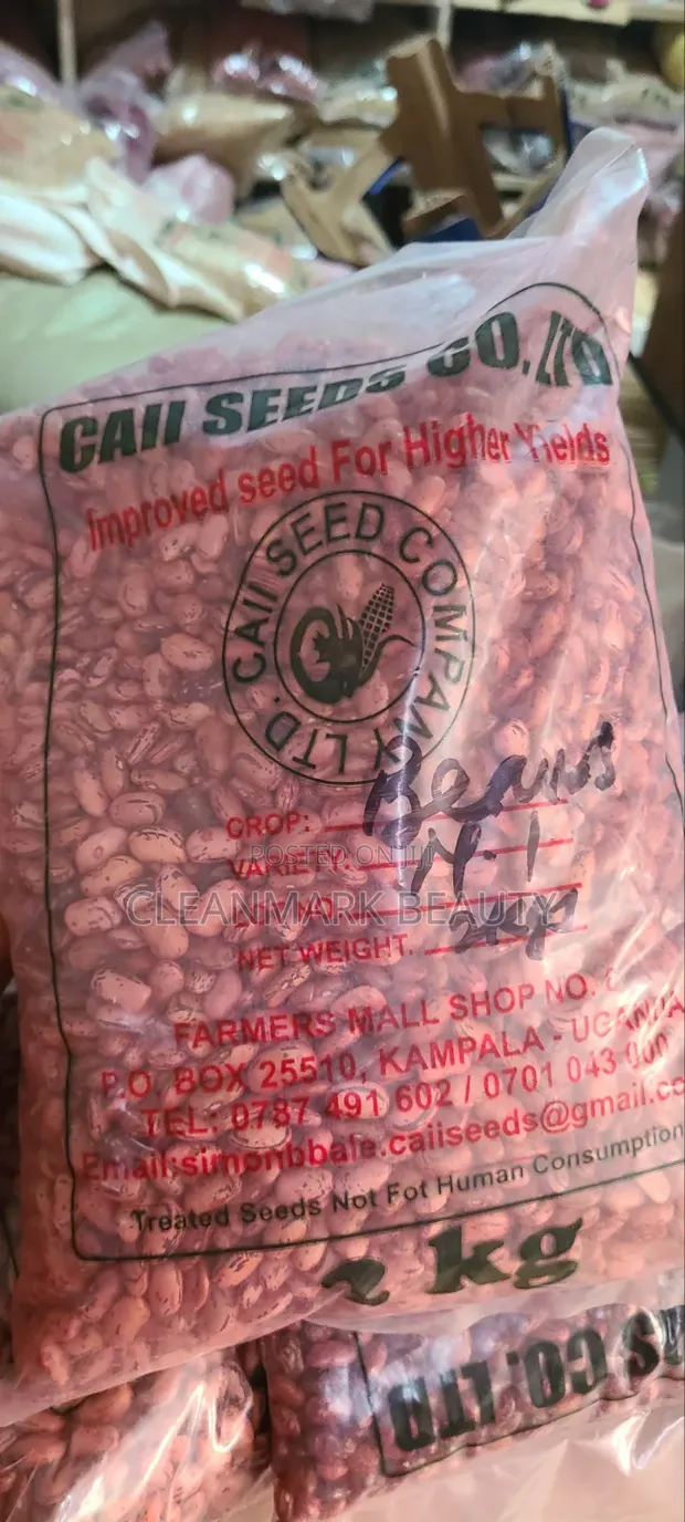 High Yield Beans - 1