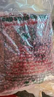 High Yield Beans - 3