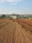 Plots for Sale in Temangalo-Sentema Road - 5