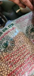 1kg High Yield Soybeans - 3