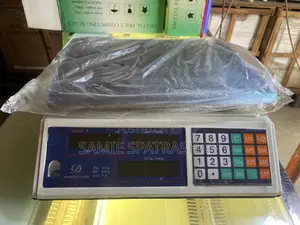 Electric Weighing Machine - Commercial Scale