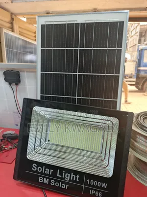 Delta Light Floodlight with Daylight Sensor