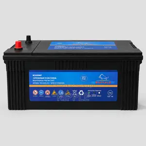 200Ah Buffalo N200MF 12V Maintenance-Free Battery