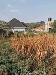 Plot for Sale in Kira-Nsasa - 2