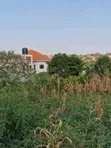 Plot for Sale in Kira-Nsasa - 3