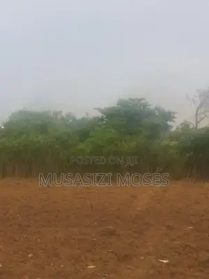 20 Acres Mailo Land for Sale in Nakitoma