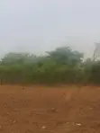 20 Acres Mailo Land for Sale in Nakitoma - 1