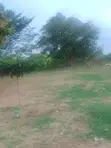 20 Acres Mailo Land for Sale in Nakitoma - 2