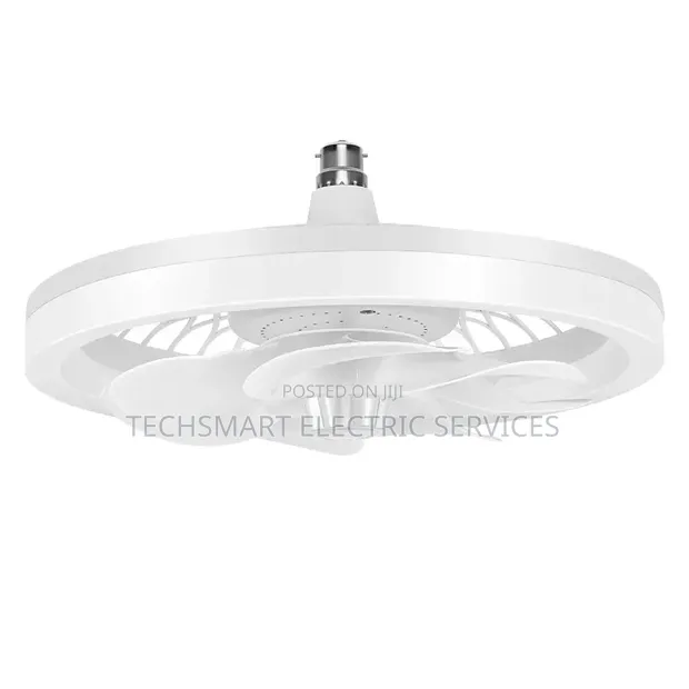 Multifunctional Fan and Light - 1