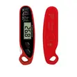 2 Probe Digital Thermometer - 1