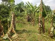 Plot for Sale in Mpererwe Kitagobwa - 1