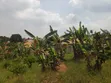 Plot for Sale in Mpererwe Kitagobwa - 2