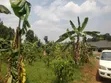 Plot for Sale in Mpererwe Kitagobwa - 4