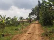 Plot for Sale in Mpererwe Kitagobwa - 5