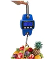 Mini Crane Digital Scale - 300 KGS - 4