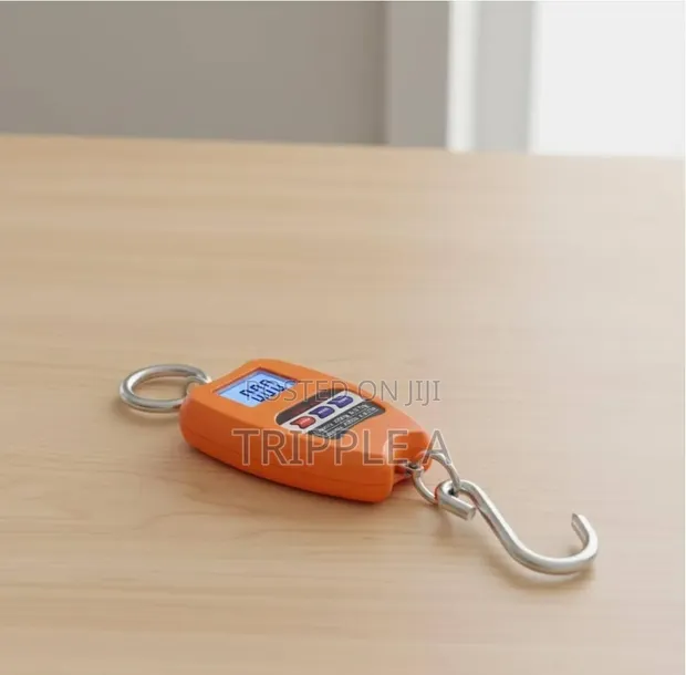 100kg Mini Crane Scale - 1