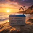 Cworth Energy 12V 100Ah Deep Cycle Gel Battery - 2