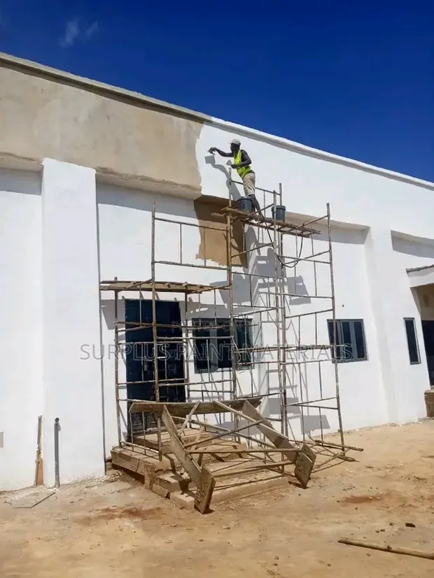 Surplus Painting Services - 1