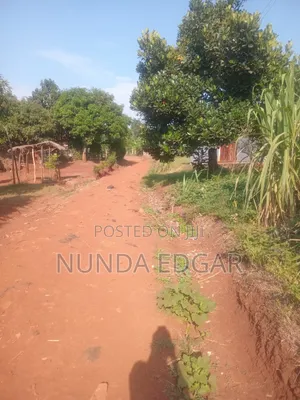 Land for Sale - Njeru, Buikwe District