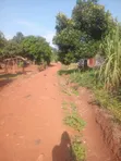 Land for Sale - Njeru, Buikwe District - 1
