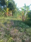Land for Sale - Njeru, Buikwe District - 2