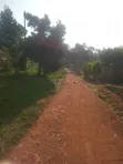 Land for Sale - Njeru, Buikwe District - 4