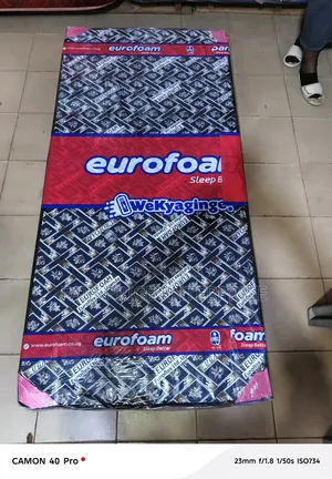 Eurofoam Mattress with Sealed Cover - 3x6x4 Inches
