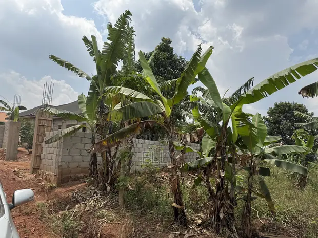 Land for Sale in Kagala Sonde, 25 Decimals - 1
