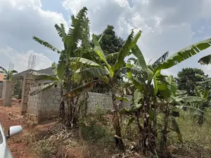 Land for Sale in Kagala Sonde, 25 Decimals