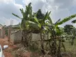 Land for Sale in Kagala Sonde, 25 Decimals - 1