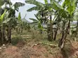 Land for Sale in Kagala Sonde, 25 Decimals - 3
