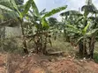Land for Sale in Kagala Sonde, 25 Decimals - 5