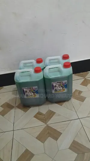 Professional Fumigation and Cleaning Services