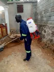Professional Fumigation and Cleaning Services - 3