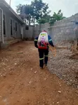 Professional Fumigation and Cleaning Services - 4