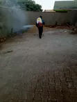Professional Fumigation and Cleaning Services - 5