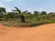 Plots for Sale in Temangalo, Wakiso - 1