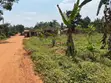 Plots for Sale in Temangalo, Wakiso - 4