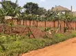 Plots for Sale in Temangalo, Wakiso - 5