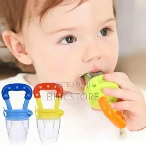 Baby Fruit Feeder with Silicone Nipple