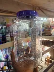 PET Storage Jar with Ribbed Cylindrical Body - 4