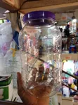 PET Storage Jar with Ribbed Cylindrical Body - 5